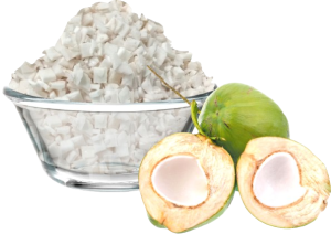 Frozen Tender Coconut Slice (Malai)