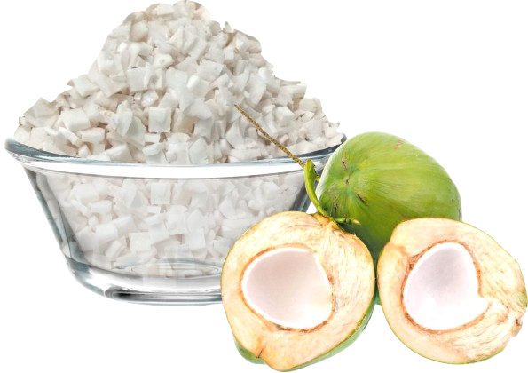 Frozen Tender Coconut Slice (Malai)